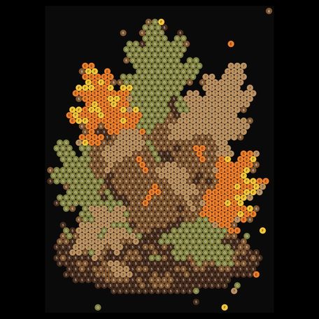 Acorn Trio