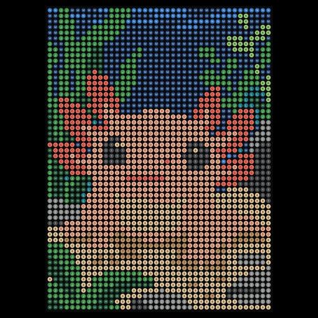 Axolotl