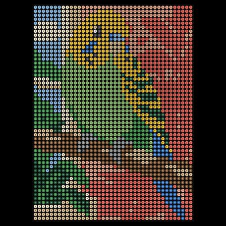Budgerigar