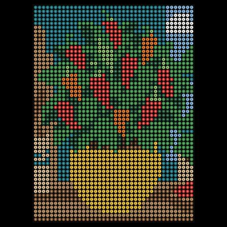 Chili Pepper Plant
