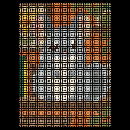 Chinchilla