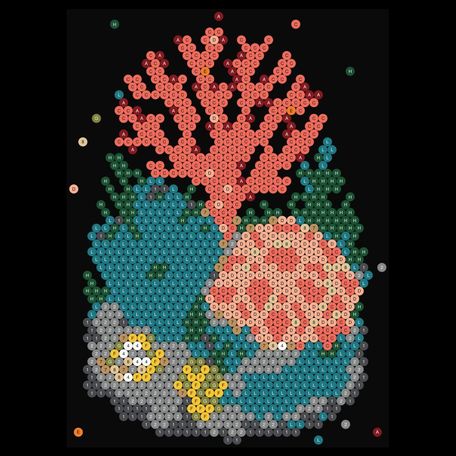 Coral Reef