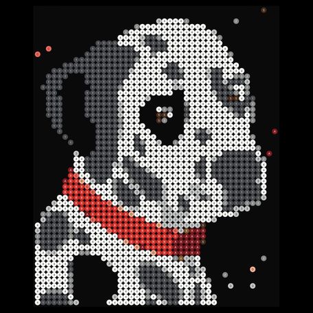Dalmatian