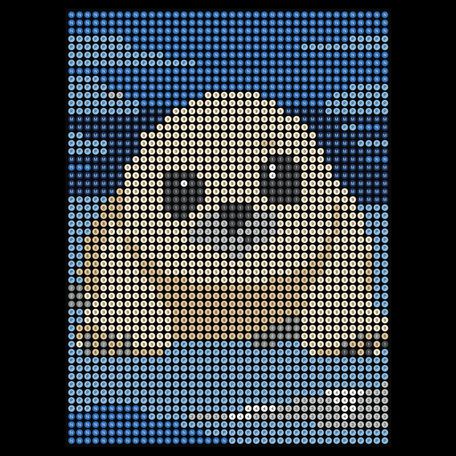 Harp Seal Pup