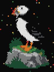 Puffin