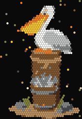 Pelican