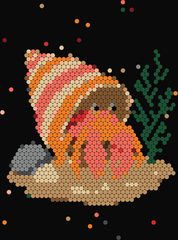 Hermit Crab