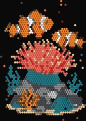 Clownfish