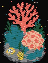 Coral Reef