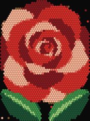 Red Rose