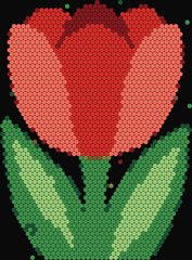 Red Tulip
