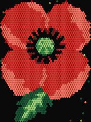 Red Poppy
