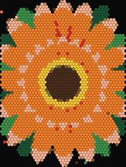 Orange Gerbera