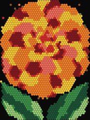 Marigold