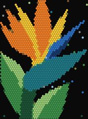Bird of Paradise