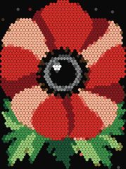 Red Anemone