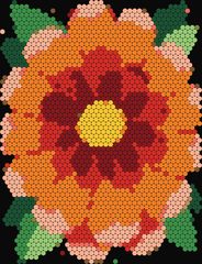 Zinnia