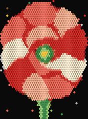 Ranunculus