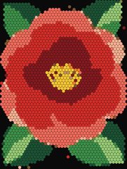 Camellia