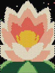 Lotus Flower