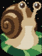 Garden Snail