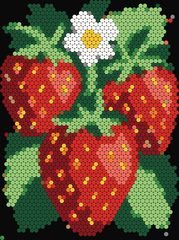 Strawberry Plant