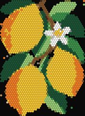 Lemon Branch