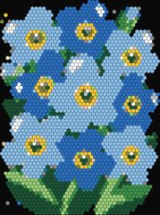 Forget-me-not Cluster