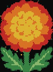 Single Marigold
