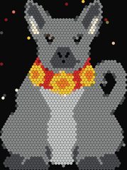 Xolo Dog