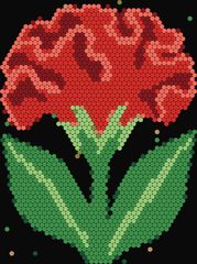 Cockscomb Flower