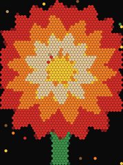 Dahlia Bloom