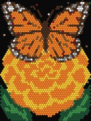 Marigold Butterfly Cluster