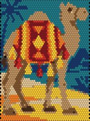 Camel