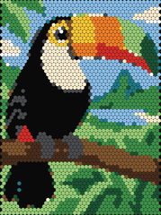 Toucan