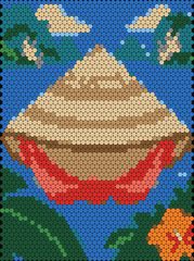 Conical Hat