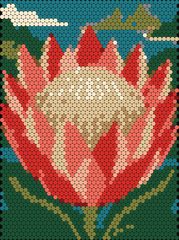 Protea Flower