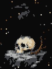 Raven on a Skull
