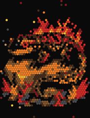 Fire Salamander