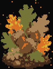 Acorn Trio