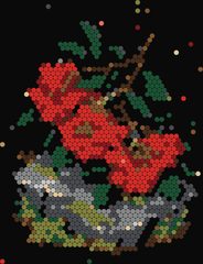 Cranberry Branch