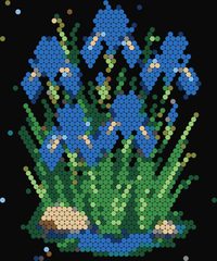 Iris Clump