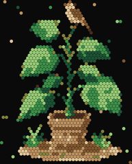 Mustard Seed Plant