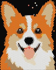 Corgi