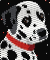 Dalmatian