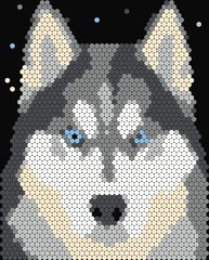 Husky