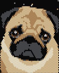 Pug