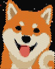 Shiba Inu