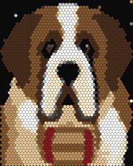 Saint Bernard