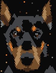 Doberman